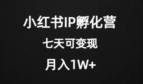 价值2000+的小红书IP孵化营项目，超级大蓝海，七天即可开始变现，稳定月入1W+-创享联盟-猴哥资源发布站
