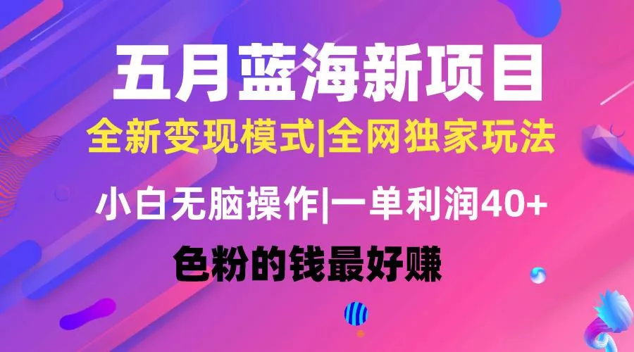 五月蓝海项目全新玩法，小白无脑操作，一天几分钟，矩阵操作，月入4万+-创享联盟-猴哥资源发布站