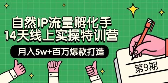 (9881期)自然IP流量孵化手 14天线上实操特训营【第9期】月入5w+百万爆款打造 (74节)-创享联盟-猴哥资源发布站