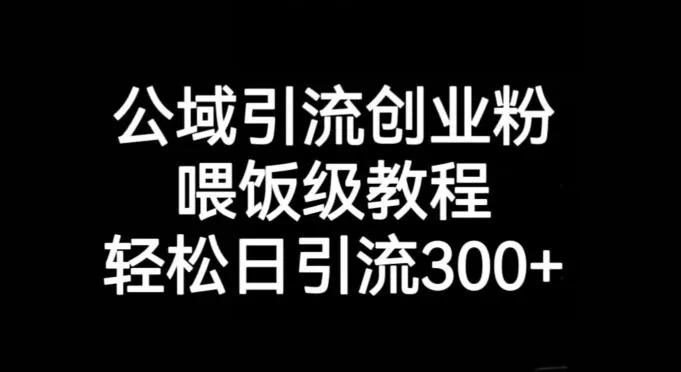公域引流创业粉，喂饭级教程，轻松日引流300+【揭秘】-创享联盟-猴哥资源发布站