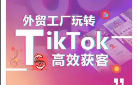 外贸工厂玩转TikTok高效获客，多种引流方式与账号定位技巧，拆解爆款短视频打造成功案例-创享联盟-猴哥资源发布站