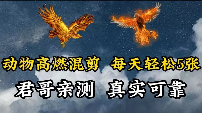 动物超燃混剪，每天轻松5张，剪辑简单大家爱看【揭秘】-创享联盟-猴哥资源发布站