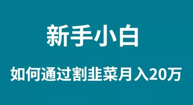 (9308期)新手小白如何通过割韭菜月入 20W-创享联盟-猴哥资源发布站