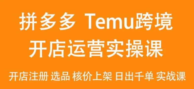 2024Temu最新玩法,Temu跨境开店运营实操课,开店注册/选品/核价上架/日出千单实战课-创享联盟-猴哥资源发布站