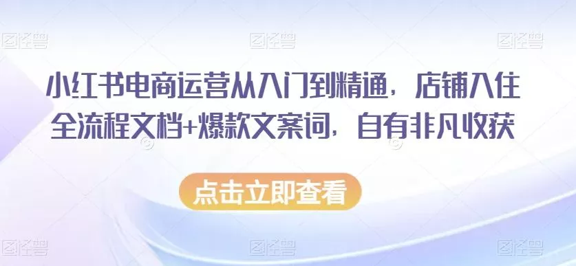小红书电商运营从入门到精通，店铺入住全流程文档+爆款文案词，自有非凡收获-创享联盟-猴哥资源发布站