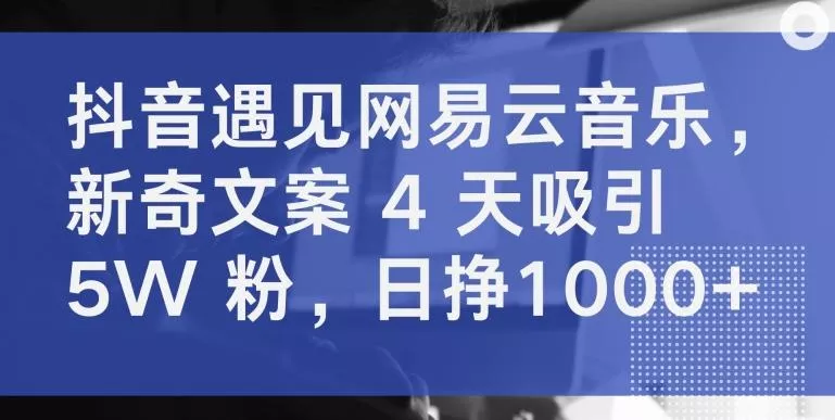 抖音遇见网易云音乐，新奇文案 4 天吸引 5W 粉，日挣1000+【揭秘】-创享联盟-猴哥资源发布站