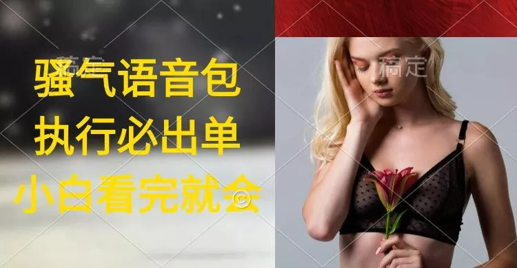 (9589期)执行就出单，日入2000+，超火骚气语音包，小白看完课程就能马上实操-创享联盟-猴哥资源发布站