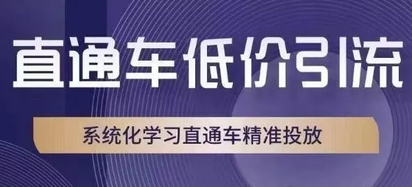 直通车低价引流课，系统化学习直通车精准投放-创享联盟-猴哥资源发布站