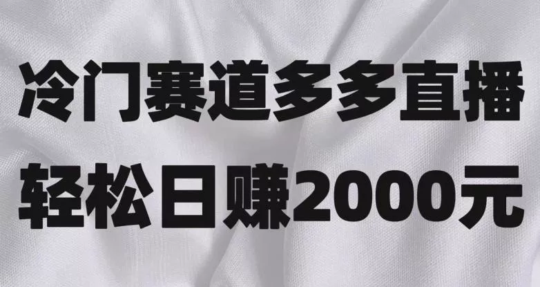 冷门赛道拼多多直播，简单念稿子，日收益2000＋【揭秘】-创享联盟-猴哥资源发布站