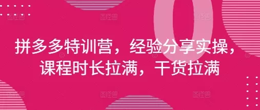 拼多多特训营，经验分享实操，课程时长拉满，干货拉满(更新25年4月)-创享联盟-猴哥资源发布站