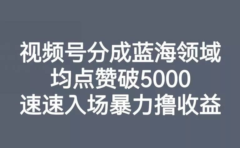 视频号分成蓝海领域，均点赞破5000，速速入场暴力撸收益-创享联盟-猴哥资源发布站