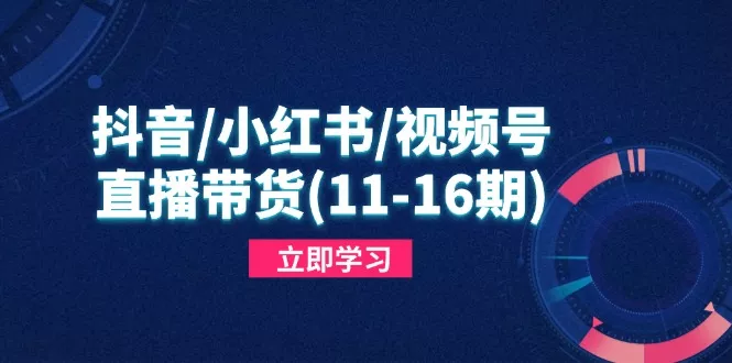 抖音/小红书/视频号/直播带货(11-16期-创享联盟-猴哥资源发布站