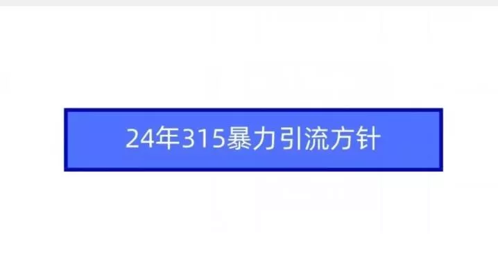 24年315暴力引流方针-创享联盟-猴哥资源发布站