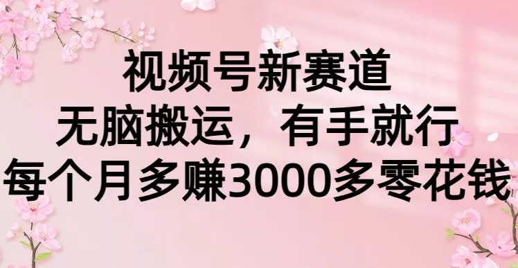 (9278期)视频号新赛道,无脑搬运,有手就行,每个月多赚3000多零花钱-创享联盟-猴哥资源发布站