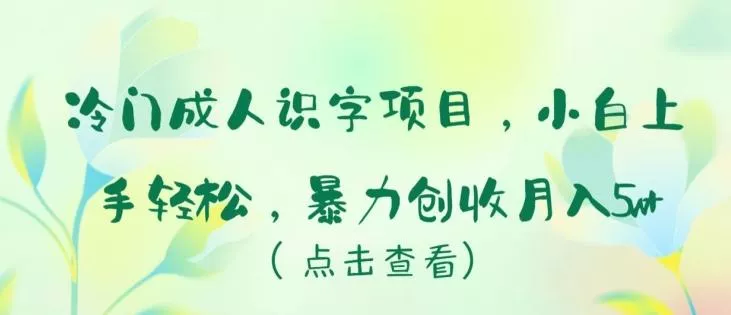 冷门成人识字项目，小白上手轻松，暴力创收月入5w+【揭秘】-创享联盟-猴哥资源发布站