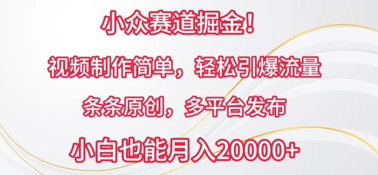 小众赛道掘金，视频制作简单，轻松引爆流量，条条原创，多平台发布【揭秘】-创享联盟-猴哥资源发布站