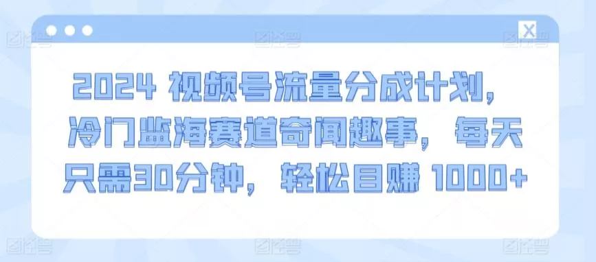 2024视频号流量分成计划，冷门监海赛道奇闻趣事，每天只需30分钟，轻松目赚 1000+【揭秘】-创享联盟-猴哥资源发布站