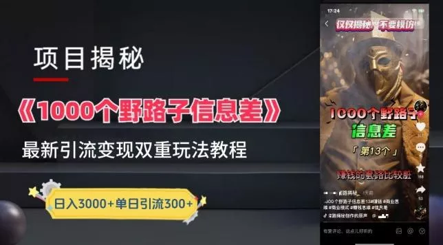 一千个野路子信息差最新玩法教程-变现+引流的玩法具体拆解【揭秘】-创享联盟-猴哥资源发布站