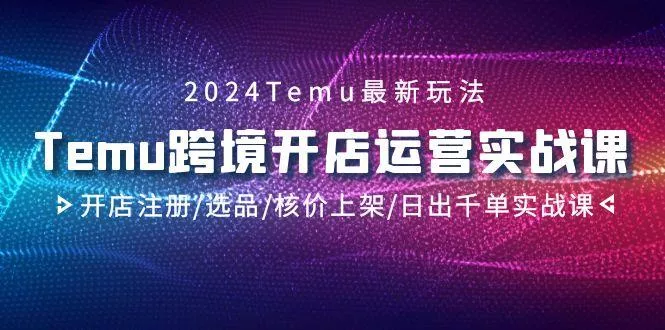 2024Temu跨境开店运营实战课，开店注册/选品/核价上架/日出千单实战课-创享联盟-猴哥资源发布站