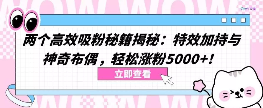 两个高效吸粉秘籍揭秘：特效加持与神奇布偶，轻松涨粉5000+【揭秘】-创享联盟-猴哥资源发布站