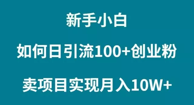 (9556期)新手小白如何通过卖项目实现月入10W+-创享联盟-猴哥资源发布站