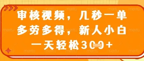 视频审核员，几秒一单，不限时间，不限地点，多做多得，新人小白一天轻松几张+【揭秘】-创享联盟-猴哥资源发布站