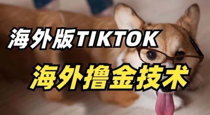 抖音海外版tiktok撸金技术，这个风口行业，赚钱真的不难【揭秘】-创享联盟-猴哥资源发布站