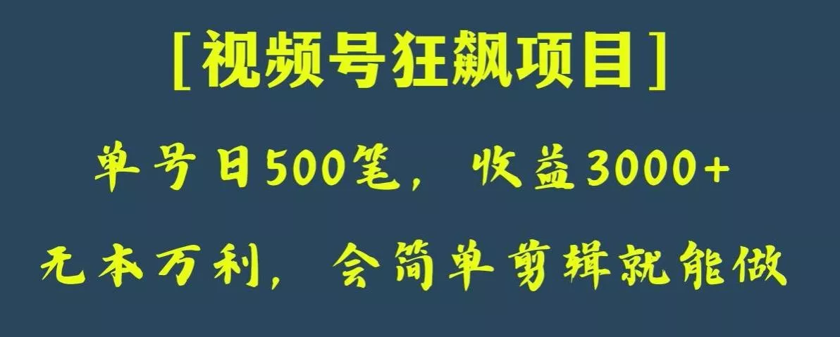 日收款500笔,纯利润3000+,视频号狂飙项目,会简单剪辑就能做【揭秘】-创享联盟-猴哥资源发布站