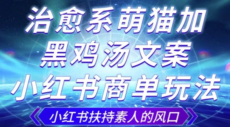 治愈系萌猫加+黑鸡汤文案，小红书商单玩法，3~10天涨到1000粉，一单200左右-创享联盟-猴哥资源发布站