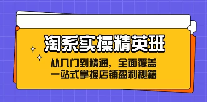 淘系实操精英班：从入门到精通，全面覆盖，一站式掌握店铺盈利秘籍-创享联盟-猴哥资源发布站