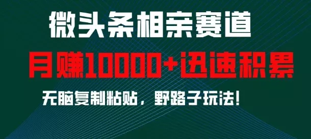微头条相亲赛道，迅速积累，无脑复制粘贴，野路子玩法，月入1w-创享联盟-猴哥资源发布站
