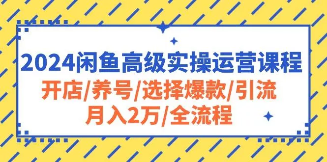 2024闲鱼高级实操运营课程：开店/养号/选择爆款/引流/月入2万/全流程-创享联盟-猴哥资源发布站