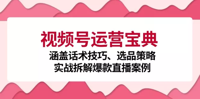 视频号运营宝典：涵盖话术技巧、选品策略、实战拆解爆款直播案例-创享联盟-猴哥资源发布站
