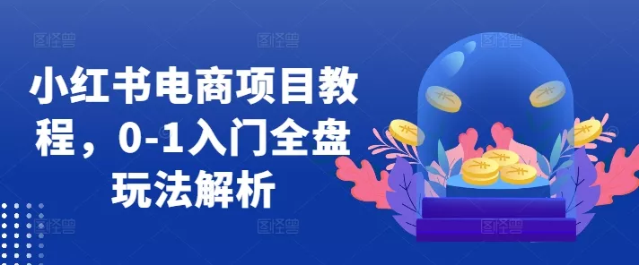 小红书电商项目教程，0-1入门全盘玩法解析-创享联盟-猴哥资源发布站