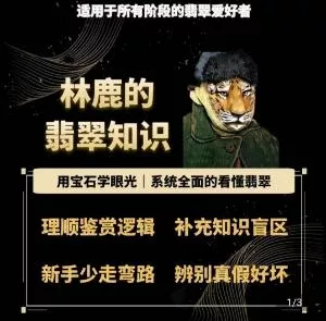 林鹿的翡翠知识，​用宝石眼光，系统全面的看懂翡翠-创享联盟-猴哥资源发布站