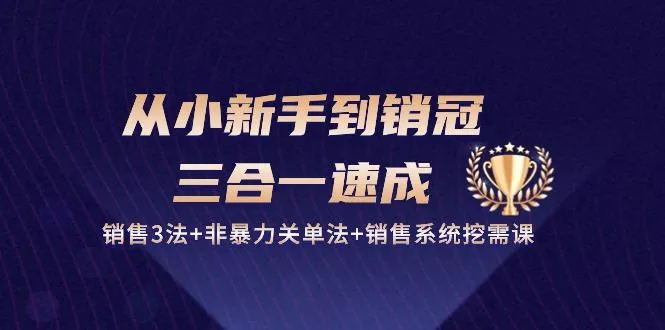 从小新手到销冠 三合一速成：销售3法+非暴力关单法+销售系统挖需课 (27节-创享联盟-猴哥资源发布站
