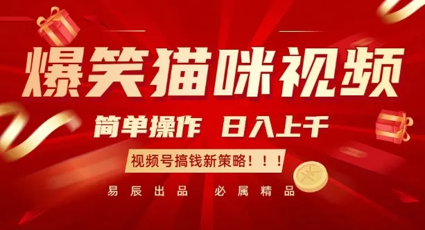 爆笑猫咪视频：简单操作，日入过K，视频号搞钱新策略【揭秘】-创享联盟-猴哥资源发布站