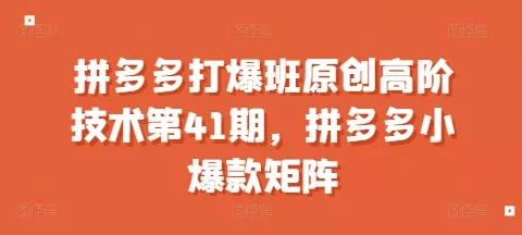 拼多多打爆班原创高阶技术第41期，拼多多小爆款矩阵-创享联盟-猴哥资源发布站