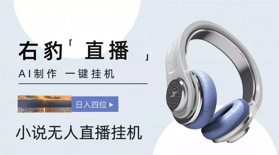 右豹小说无人直播挂机吸金项目，简单易行收益稳定， 月入1000+-创享联盟-猴哥资源发布站