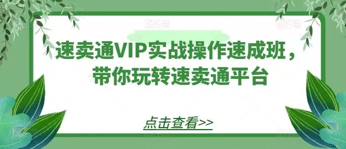 速卖通VIP实战操作速成班，带你玩转速卖通平台-创享联盟-猴哥资源发布站