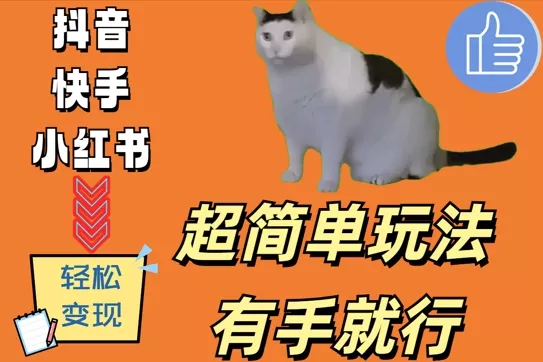 超简单玩法，有手就行，靠猫咪视频日入500+【揭秘】-创享联盟-猴哥资源发布站
