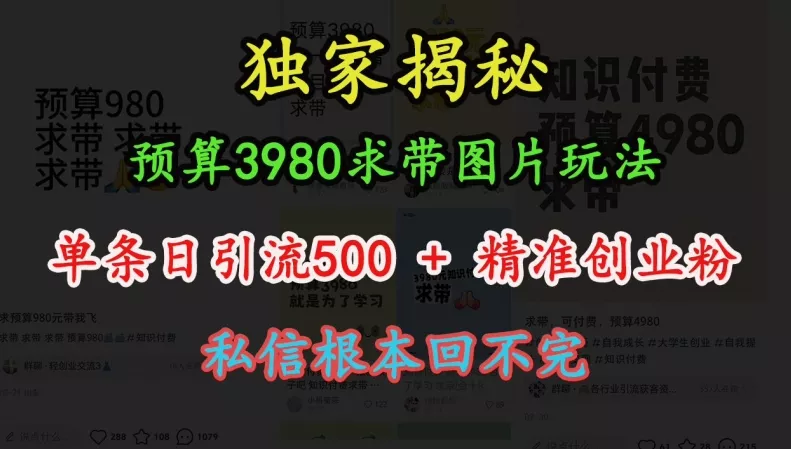 预算3980求带 图片玩法，单条日引流500+精准创业粉，私信根本回不完-创享联盟-猴哥资源发布站