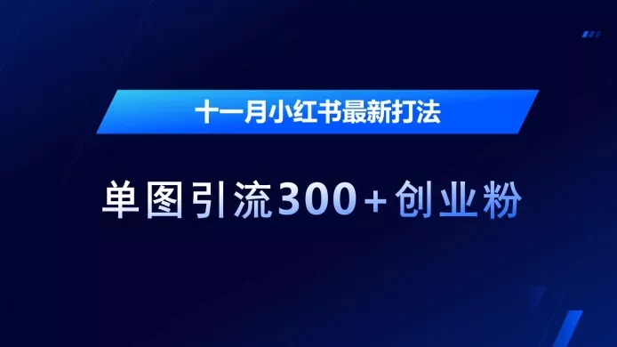 十一月小红书最新打法，单图引流300+创业粉【揭秘】-创享联盟-猴哥资源发布站