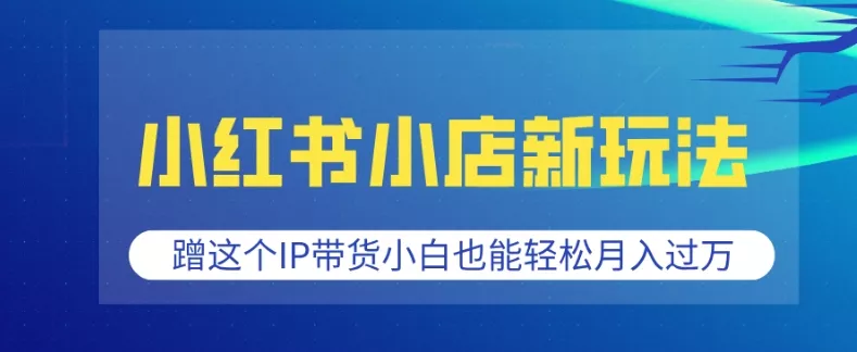 小红书小店新玩法，蹭这个IP带货，小白也能轻松月入过W【揭秘】-创享联盟-猴哥资源发布站