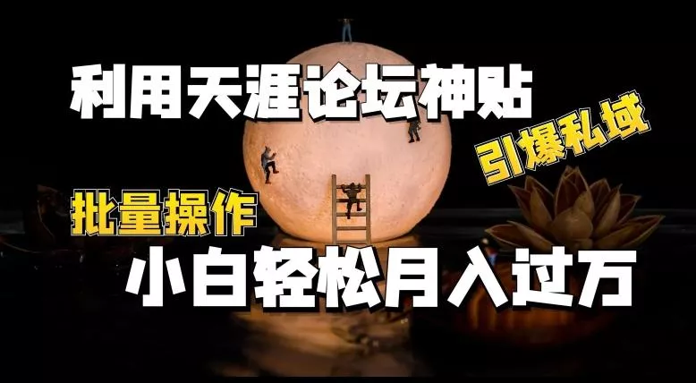 利用天涯论坛神贴，引爆私域，批量操作，小白轻松月入过w【揭秘】-创享联盟-猴哥资源发布站