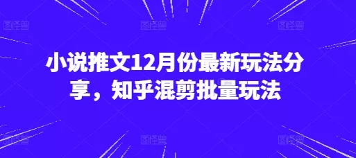 小说推文12月份最新玩法分享，知乎混剪批量玩法-创享联盟-猴哥资源发布站