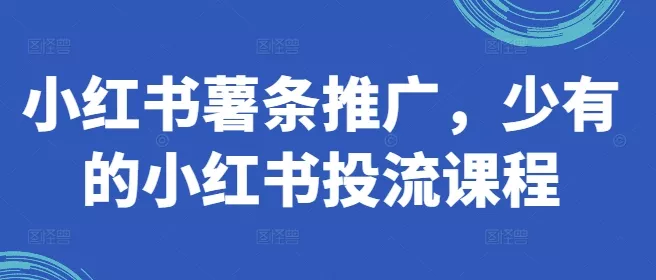 小红书薯条推广，少有的小红书投流课程-创享联盟-猴哥资源发布站