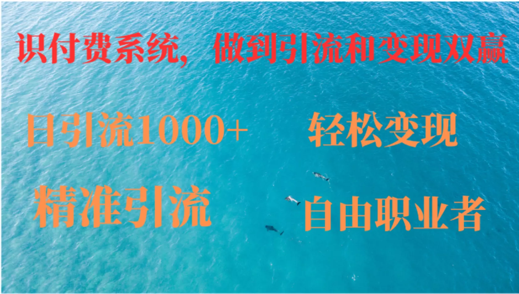 如何搭建自己的知识付费系统，做到引流和变现双赢-创享联盟-猴哥资源发布站