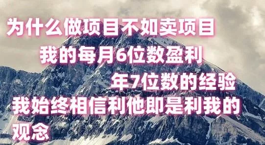 做项目不如卖项目，每月6位数盈利，年7位数经验-创享联盟-猴哥资源发布站