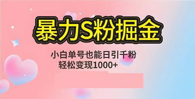 单人单机日引千粉，变现1000+，S粉流量掘金计划攻略-创享联盟-猴哥资源发布站